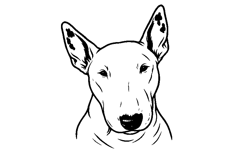 Centered PNG